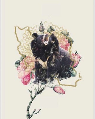 مدال خرس سیاه بلوچی تولید می‌شود